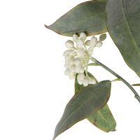 Eucalyptus Flower Spray 70cm