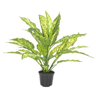 Dracaena Plant Real Touch in Pot 39cm