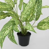 Dracaena Plant Real Touch in Pot 39cm