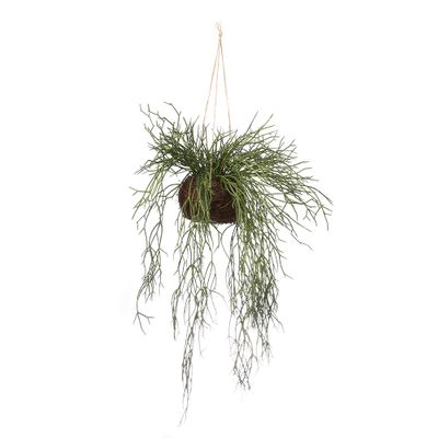 Sea Grass Vine Hanging 1m