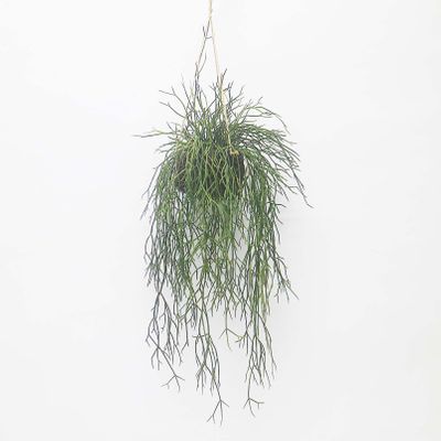 Sea Grass Vine Hanging 1m