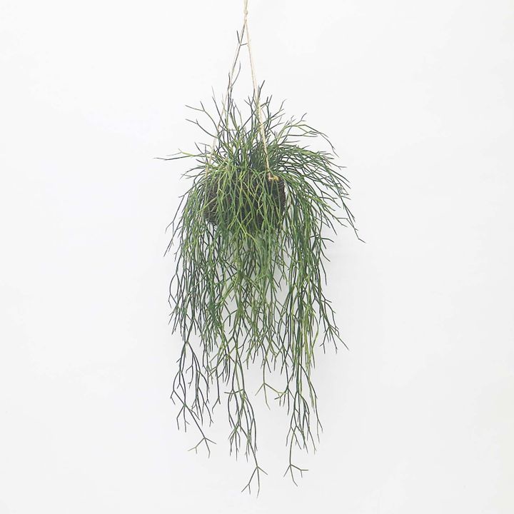 Sea Grass Vine Hanging 1m