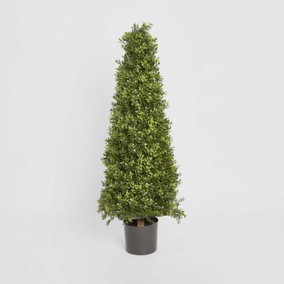 Boxwood Pyramid Tree 1m