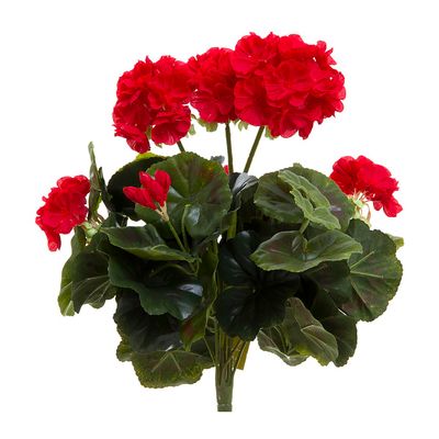 Geranium Bush 38cm Red