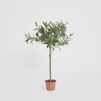 Olive Topiary 65cm