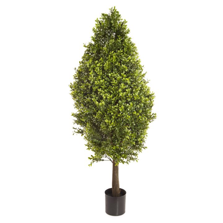 Boxwood Cone 90cm