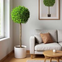 Boxwood Ball Tree 1.5m