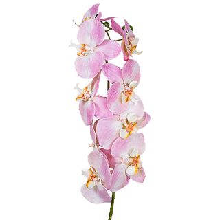 Orchid Stem 95cm Pink