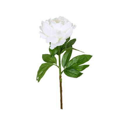 Peony Queen 70cm White