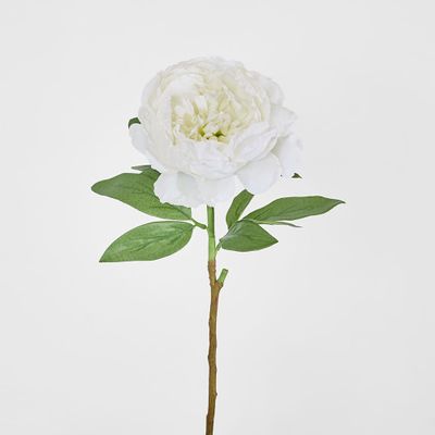 Peony Queen 70cm White