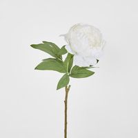 Peony Queen 70cm White