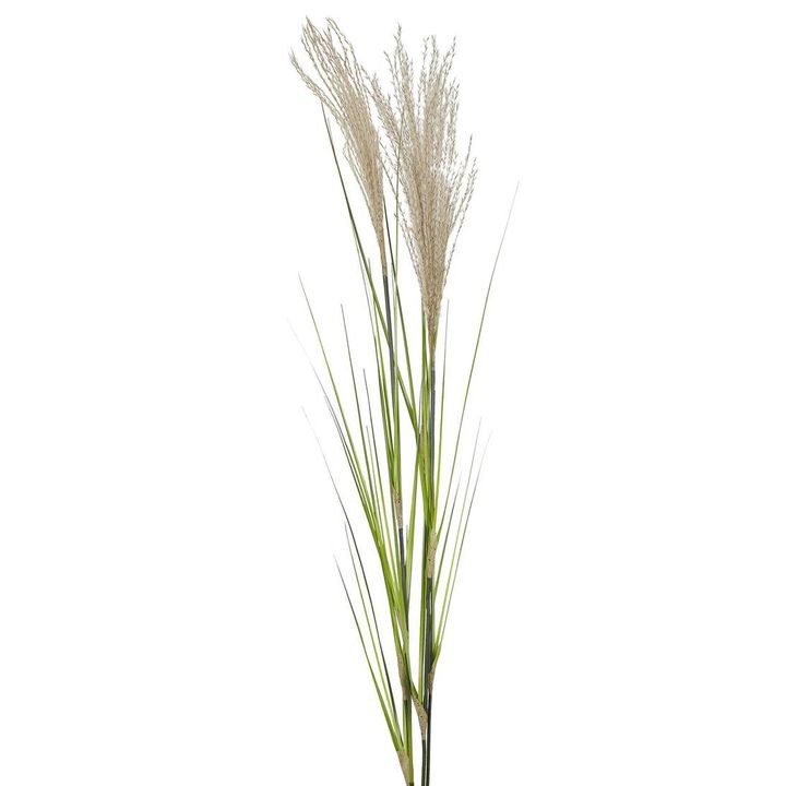 Pampas Grass Spray 1.1m