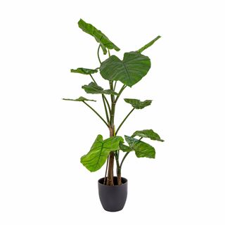 Sweet Taro Real Touch 1.2m