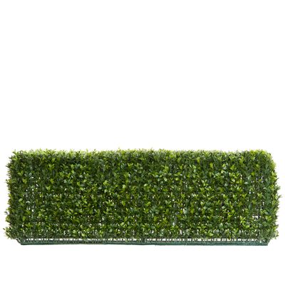 Boxwood Hedge 25x95cm