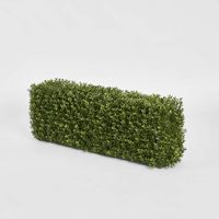 Boxwood Hedge 25x95cm