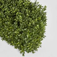 Boxwood Hedge 25x95cm