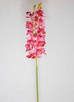 Orchid Cymbidium 80cm Dark Pink