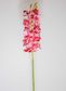 Orchid Cymbidium 80cm Dark Pink