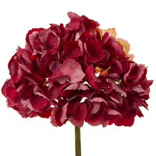 English Hydrangea 49cm Red