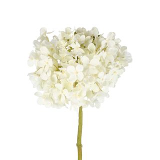 Hydrangea Short Stem 47cm White