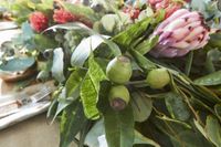 Eucalyptus Gumnut Spray 67cm Green