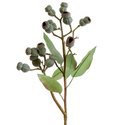 Eucalyptus Gumnut Spray 64cm Dark Green