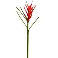 Heliconia 82cm Red