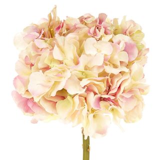 Hydrangea 50cm Pink