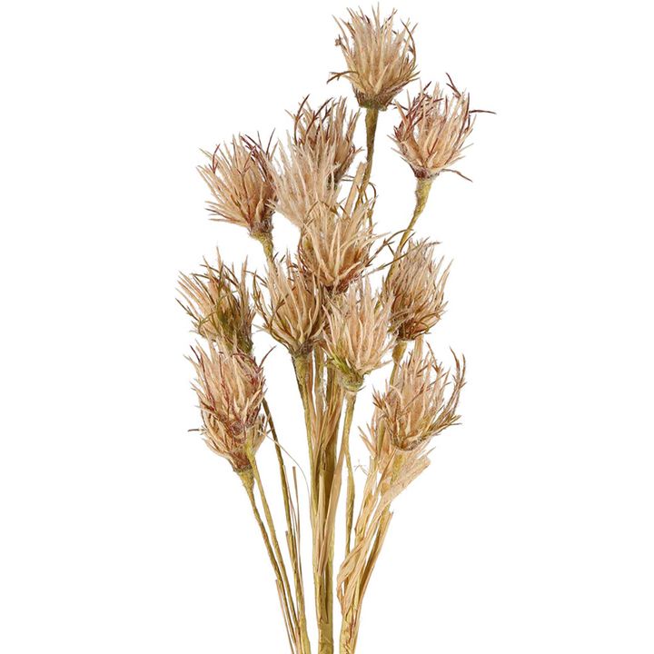 Wheat Flower Stem 75cm Brown