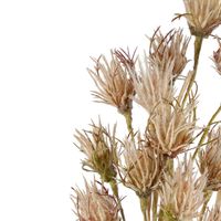 Wheat Flower Stem 75cm Brown