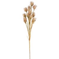 Wheat Flower Stem 75cm Brown