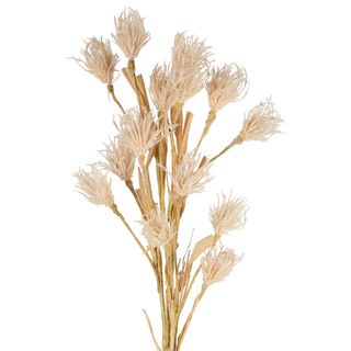 Wheat Flower Stem 75cm White