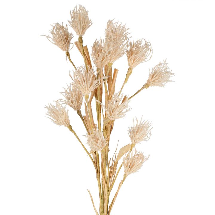 Wheat Flower Stem 75cm White