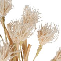 Wheat Flower Stem 75cm White