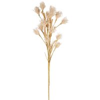 Wheat Flower Stem 75cm White