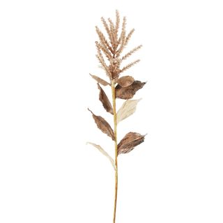 Wheat With Leaves 50cm Stem Brown