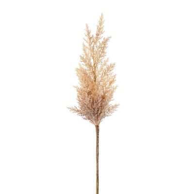 Wheat Astilbe Flower Stem 75cm Brown