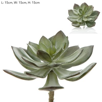 Succulent Pearl Pick 15cm Grey