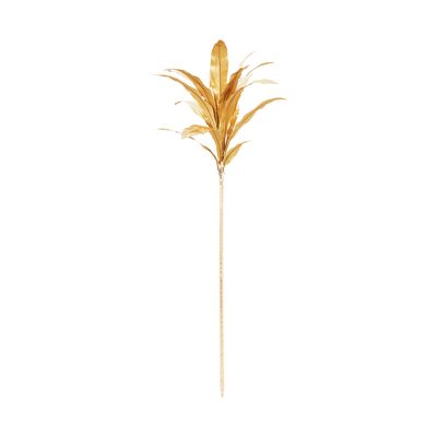 Dracena Stem Gold