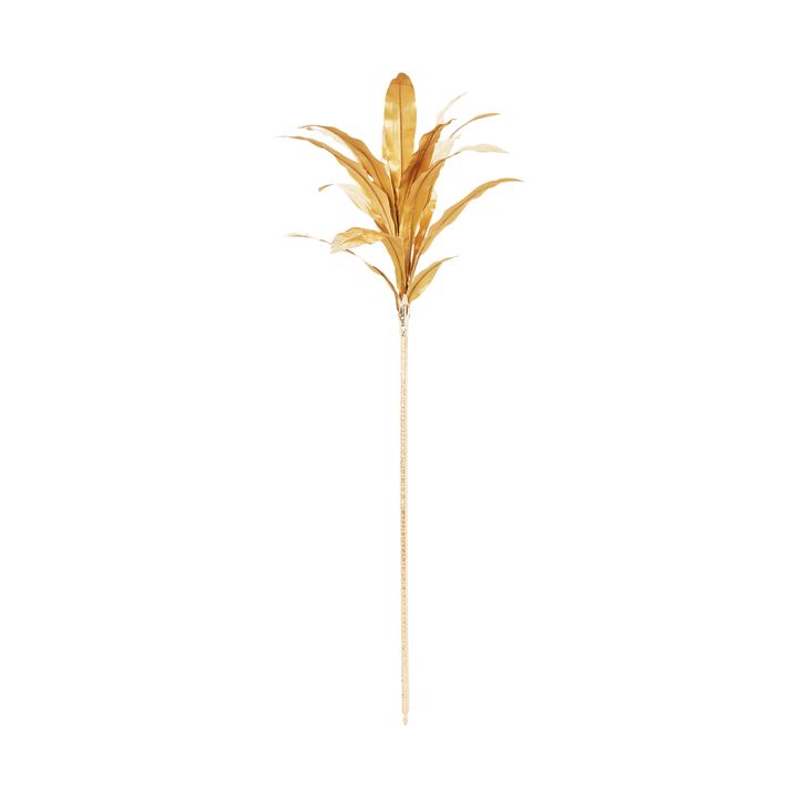 Dracena Stem Gold