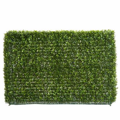 Boxwood Hedge 55x95cm