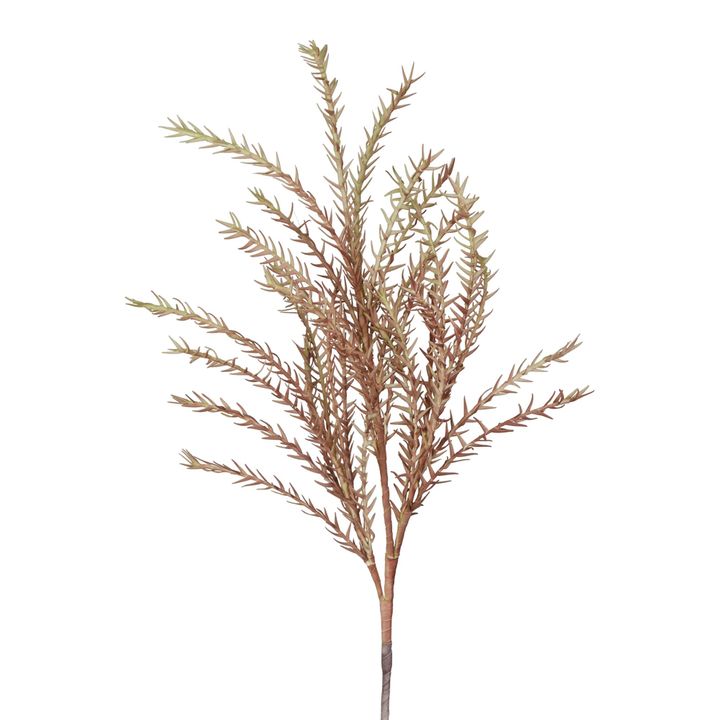 Wild Twig Grass 90cm Light Brown