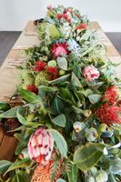 Protea King Stem 75cm Red