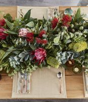 Protea King Stem 75cm Red