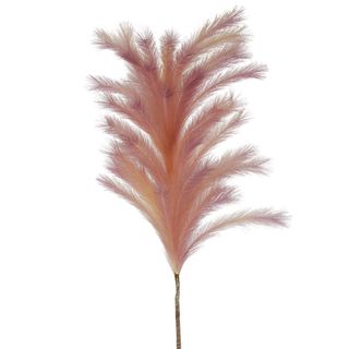 Wheat Grass 1.1m Pink