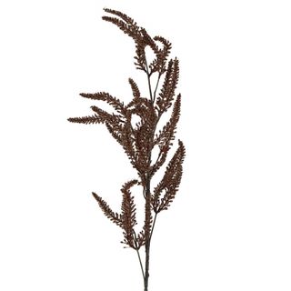 Dried Look Grass Frond 1m Brown
