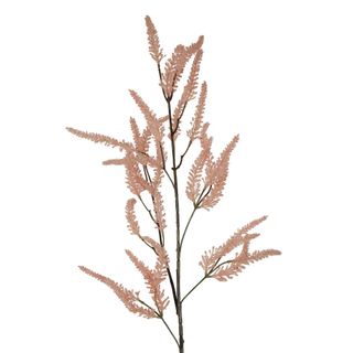 Dried Look Grass Frond 1m Pink