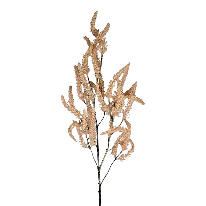 Dried Look Grass Frond 1m Pink