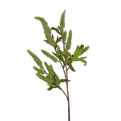 Sage Stem 70cm Green