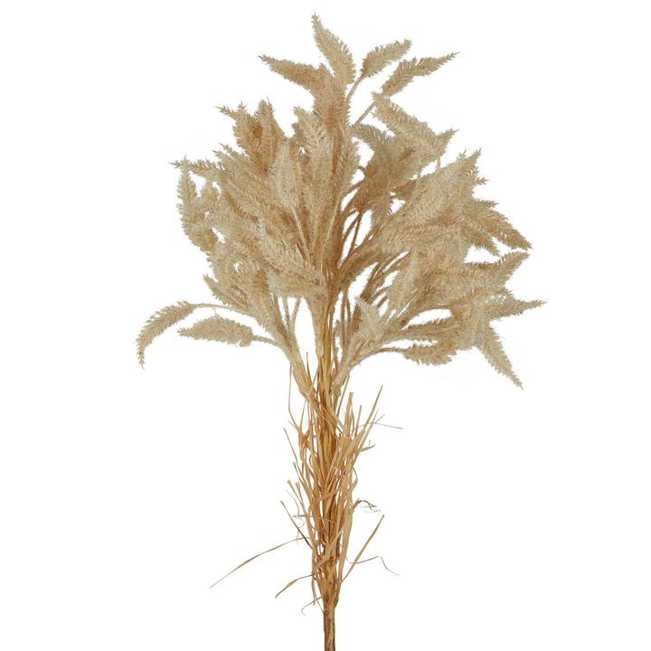 Dried Look Wheat Grass Stem 80cm Cream